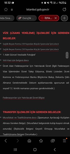 Screenshot_20241104_183242_Samsung Internet
