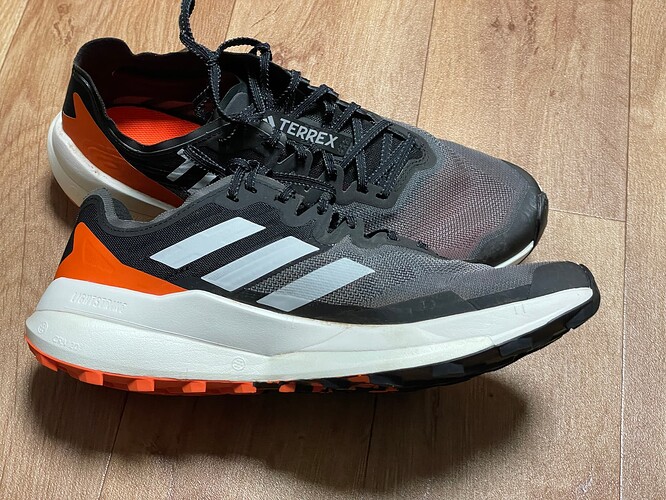 terrex (5)
