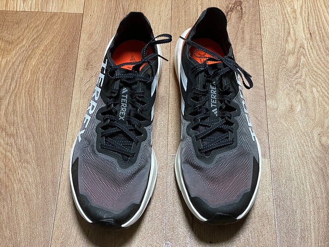 terrex (8)