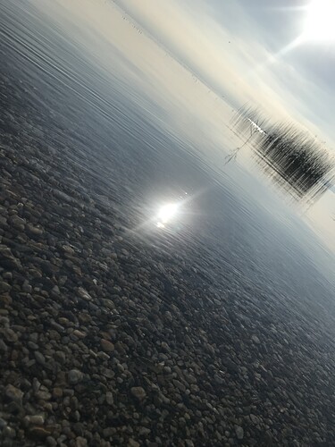 resim