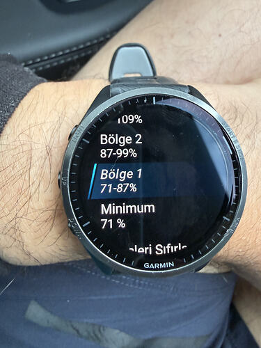 garmin 1