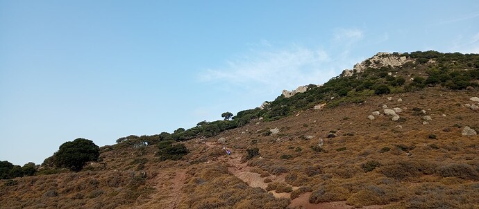 IMG_20240907_084800_349