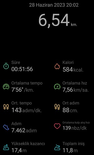 Screenshot_20230629_131357_Huawei Health