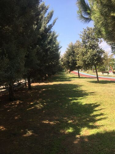 MssUq-EN7erLJWAep9u0gL5KpG5b1SUWnVEsOpk-lpI-1536x2048