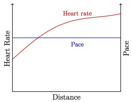 Fig-1_cardiac-drift-chart-1