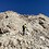 Alpin